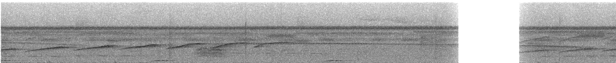 Common Scale-backed Antbird - ML325143