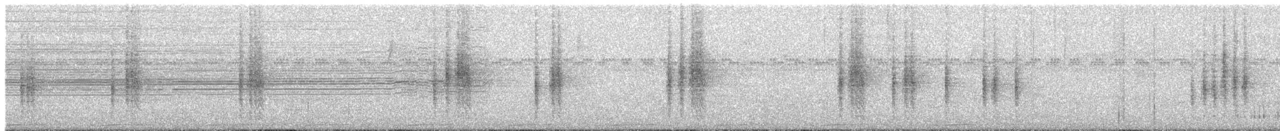 Southern House Wren - ML325201731