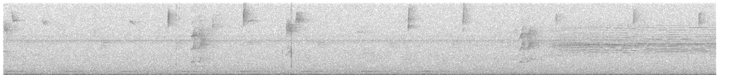 hvitstrupespadenebb - ML325202501