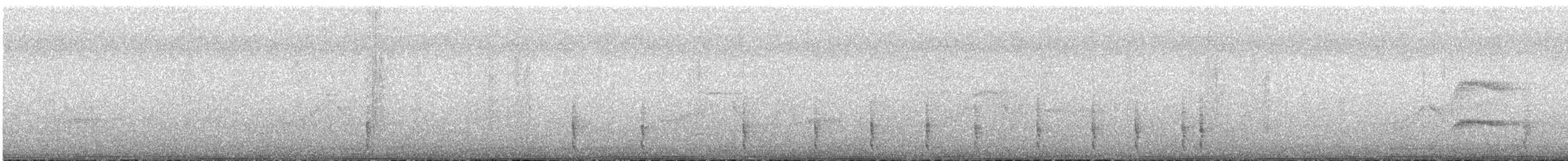 Палауанская широкохвостка - ML32526241