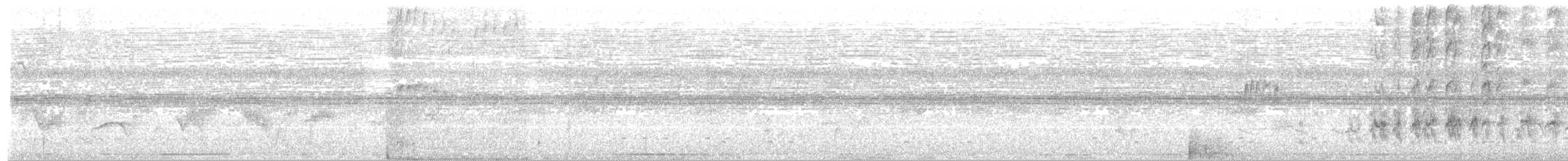 パナマヒタキモドキ - ML325268111