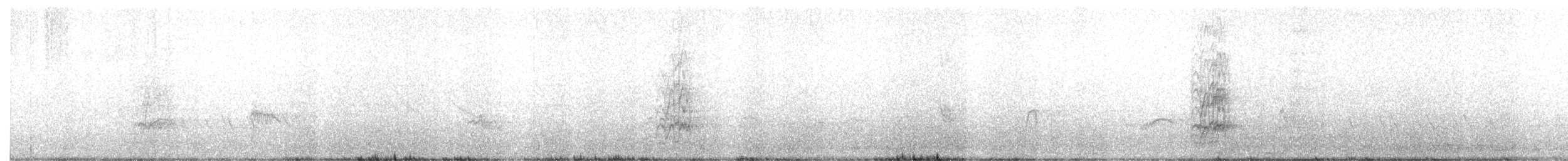 Slender-billed Parakeet - ML325285571