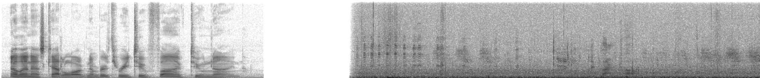 Bonin Petrel - ML32529