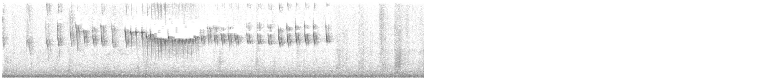 Трясохвіст сіробокий - ML325301221