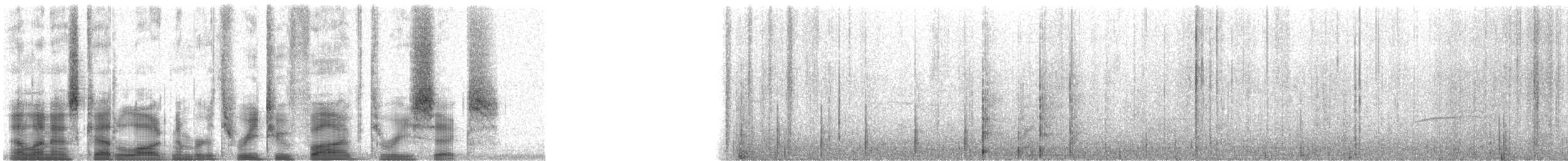 Bonin Petrel - ML32536