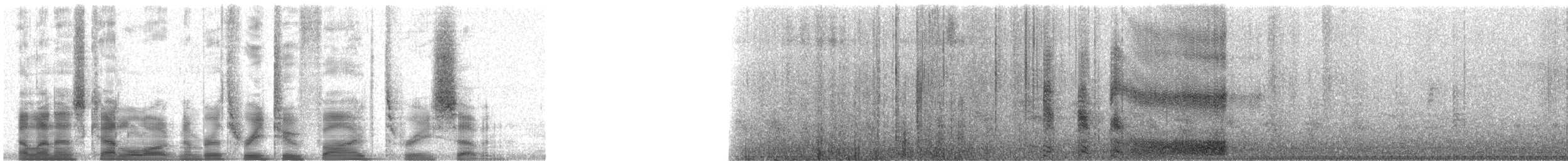 Bonin Petrel - ML32537