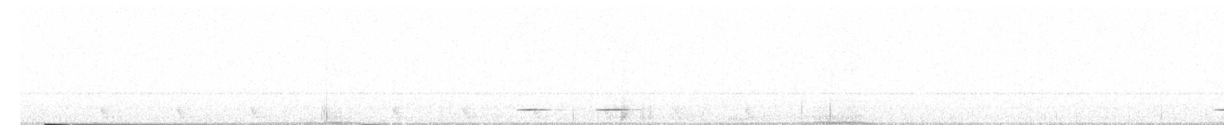 Large-tailed Nightjar - ML325427831
