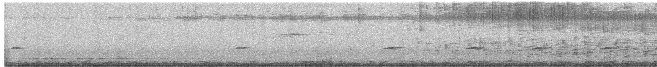 Euli-txori papargorria - ML325491761