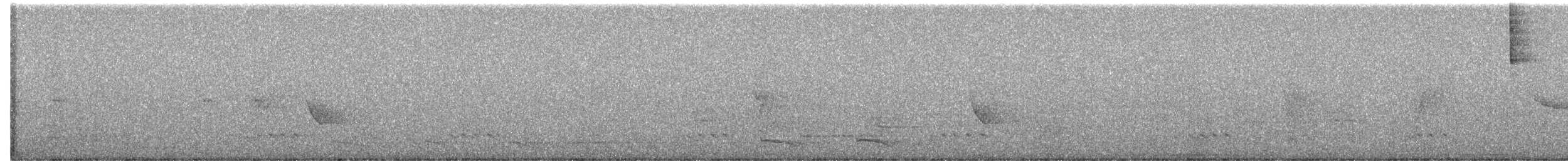 Кустарниковый скрытохвост - ML325525581