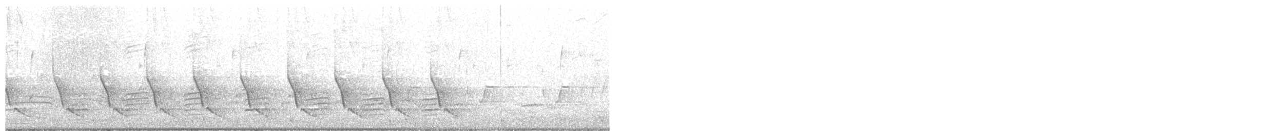 Rotbrustkleiber - ML325538261