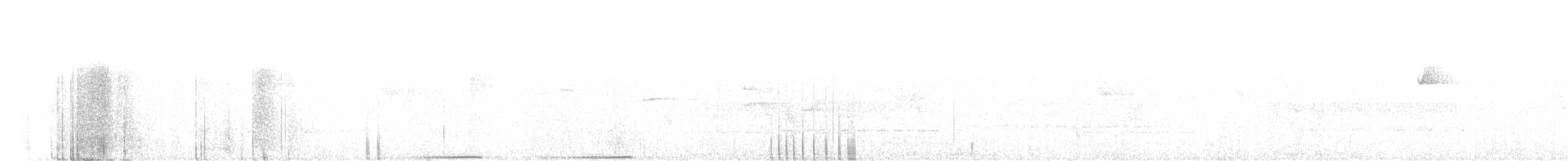 holub světlebřichý - ML325555621