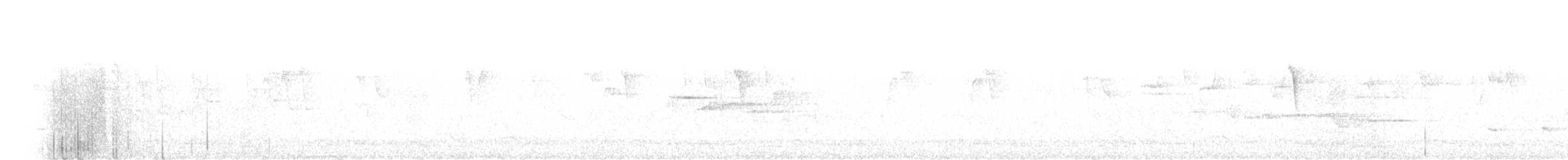 Kara Göğüslü Çalı Timalyası - ML325559621