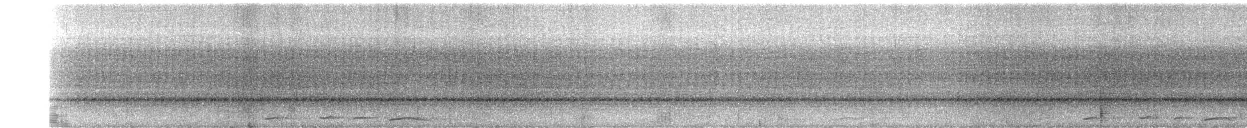 holub krátkozobý - ML325582211
