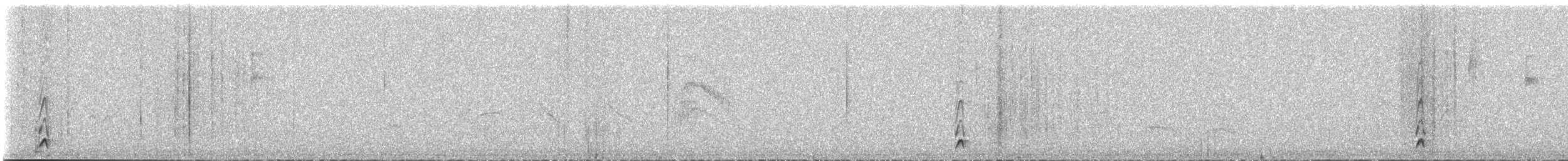 Creamy-bellied Thrush - ML325597511