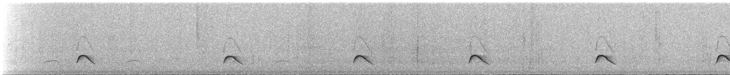 White-crested Elaenia (Chilean) - ML325599701