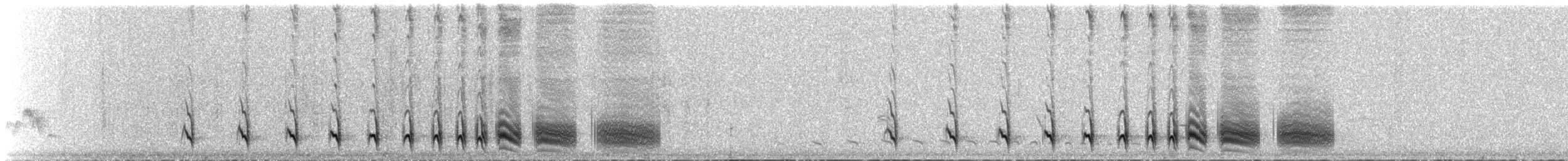 Silvery-cheeked Antshrike - ML325610551