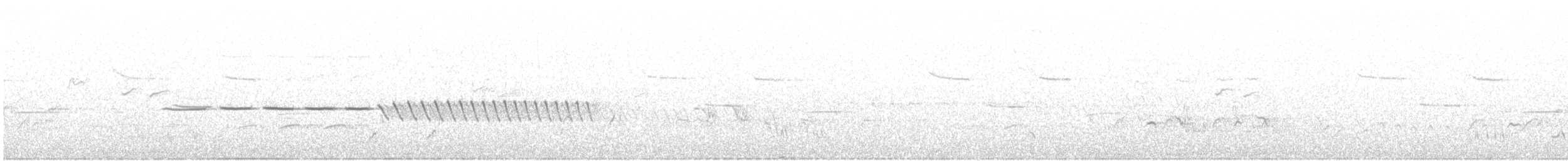 ヒメドリ - ML325679041