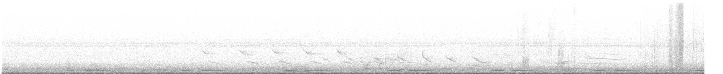 Eurasian Collared-Dove - ML325684441