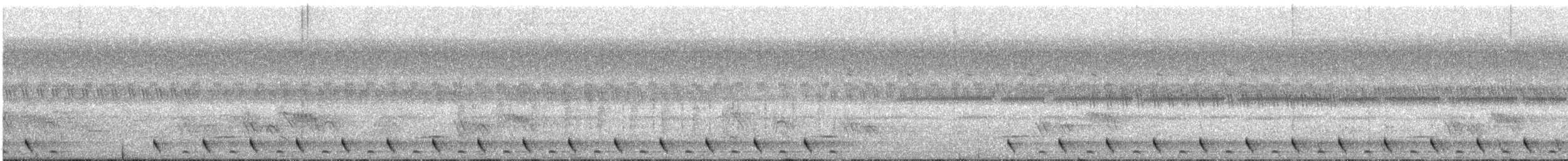 Jungle Nightjar - ML325685651