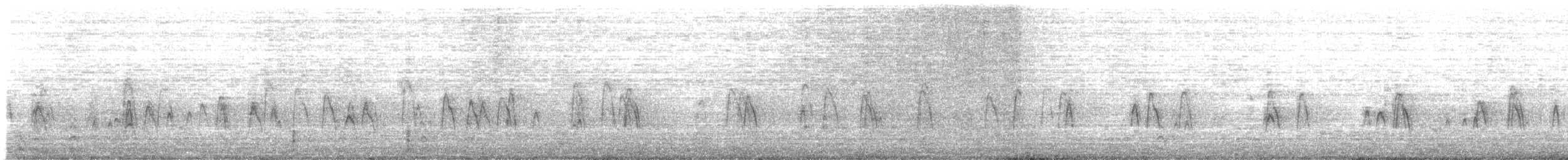 Blauflügelente - ML325763131