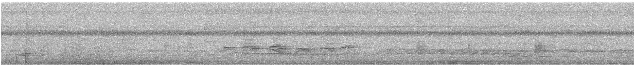 Willis's Antbird - ML325848721