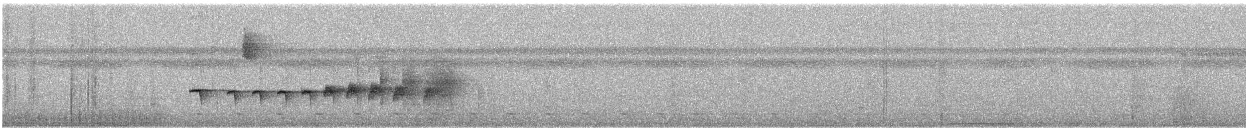 Rostflanken-Ameisenschnäpper - ML325848811
