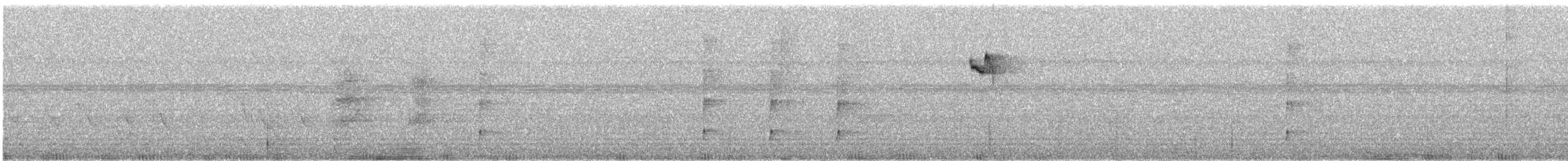 Длиннохвостый колибри-отшельник - ML325848871