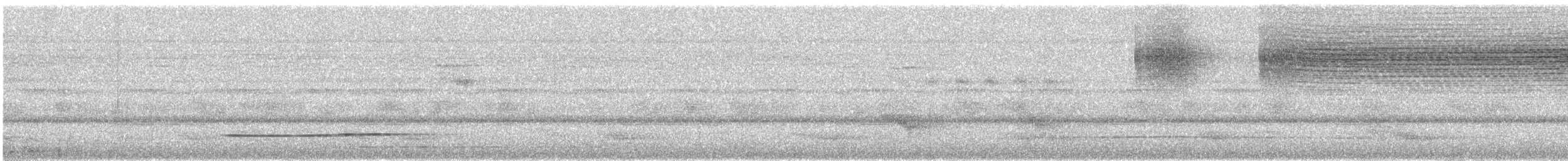 Little Tinamou - ML325853351