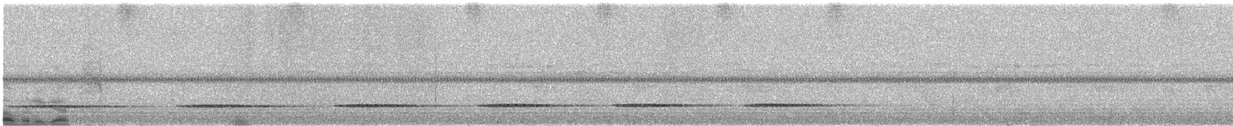Красногрудый скрытохвост - ML325856411