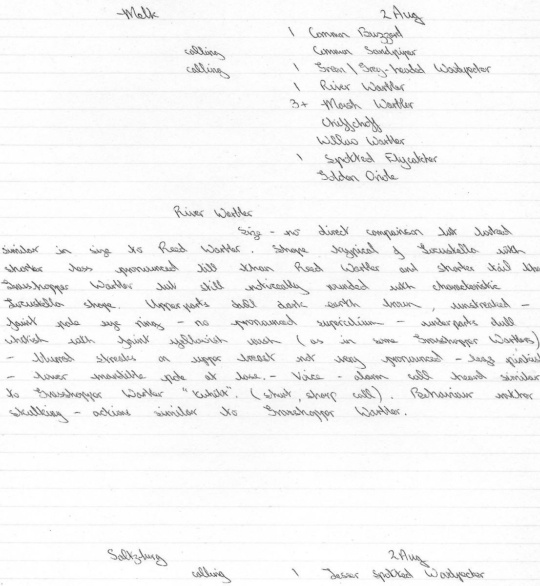 River Warbler - ML325860081