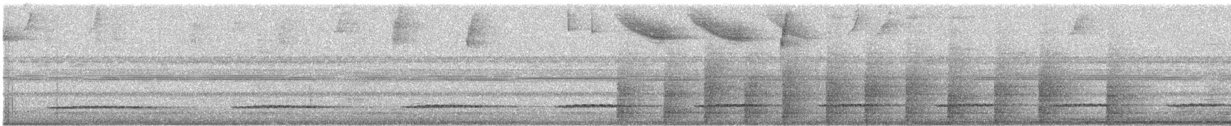 Variegated Tinamou - ML325868521