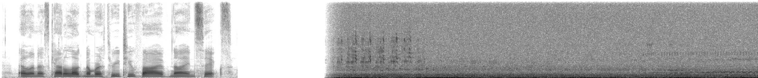 fregatka obecná - ML32596