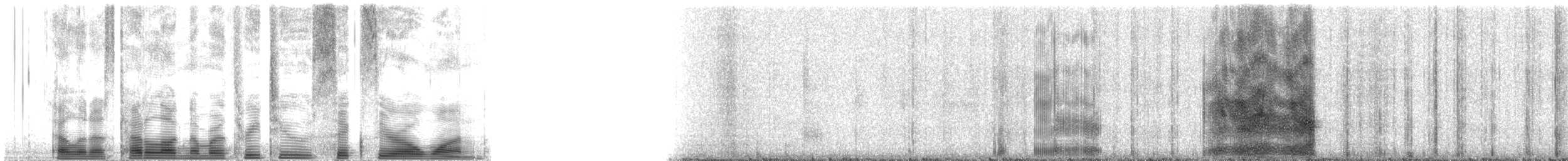 Bonin Petrel - ML32601