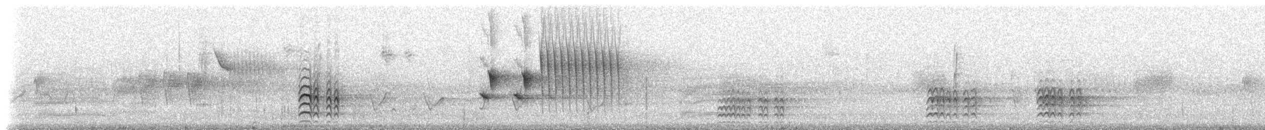 hvitbrystspettmeis (lagunae gr.) - ML32609641