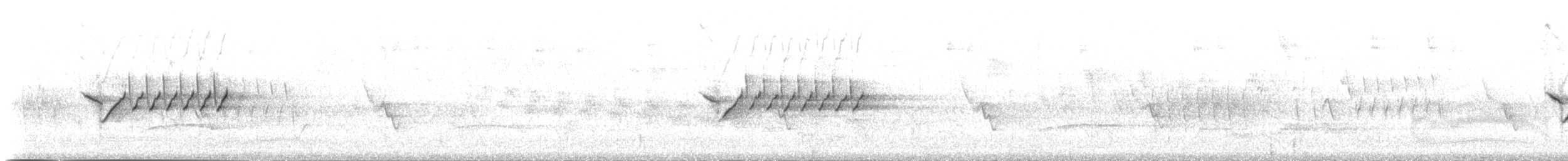 Troglodyte de Bewick - ML32609891