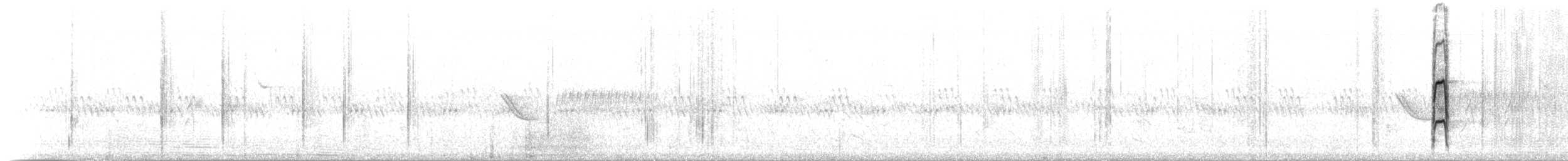 strakapoud hnědokřídlý - ML32610301