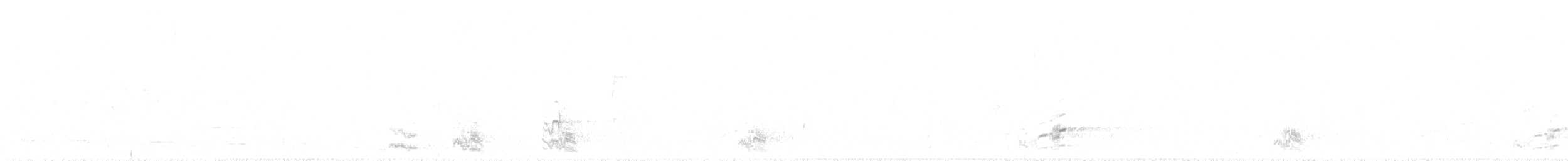 svarthaleparakitt - ML326124801