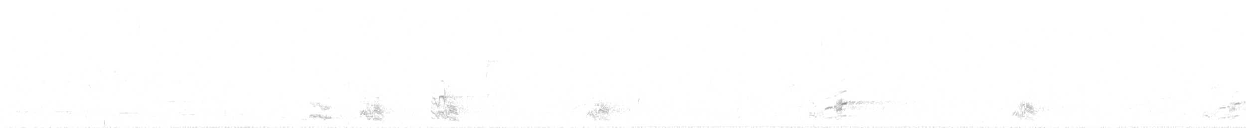 Regent Parrot - ML326124801