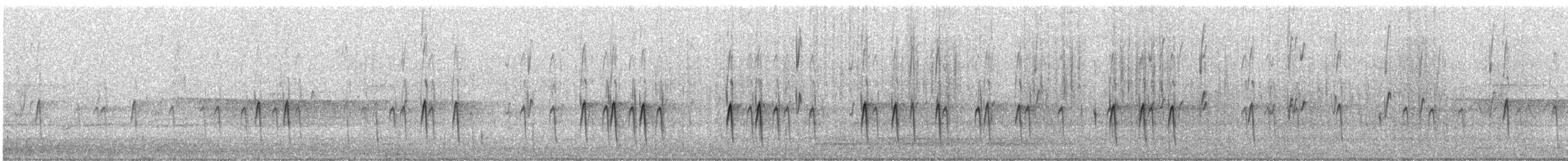 Fichtenkreuzschnabel (Typ 12) - ML326178111