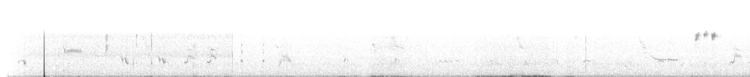 雑種 オオムジツグミモドキ ｘ アカハラツグミモドキ - ML326206101