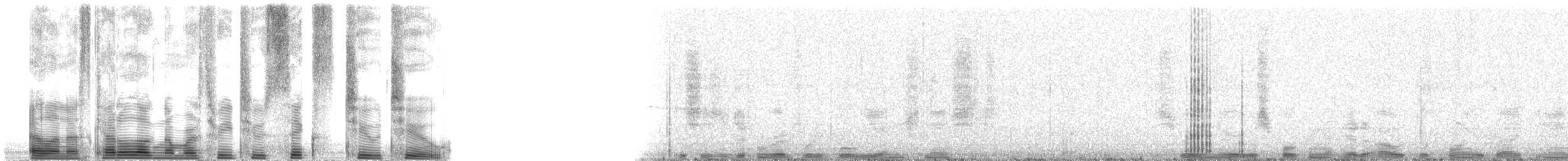 Красноногая олуша (rubripes) - ML32622