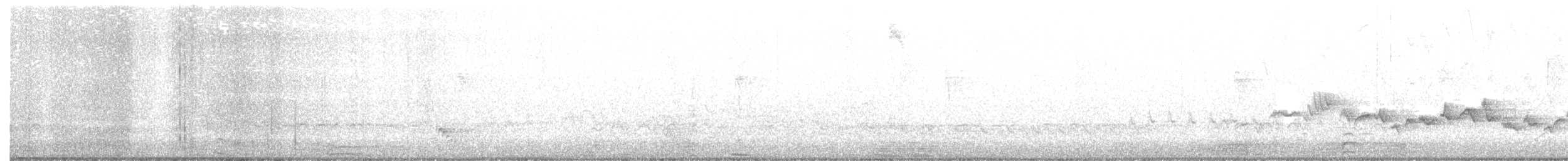 Віреон світлобровий (підвид gilvus) - ML326232991