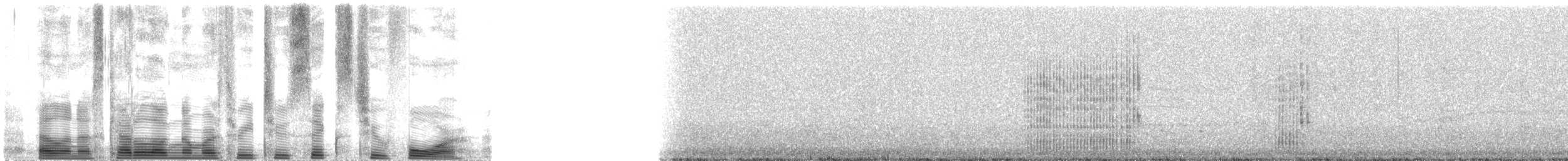 Красноногая олуша (rubripes) - ML32624
