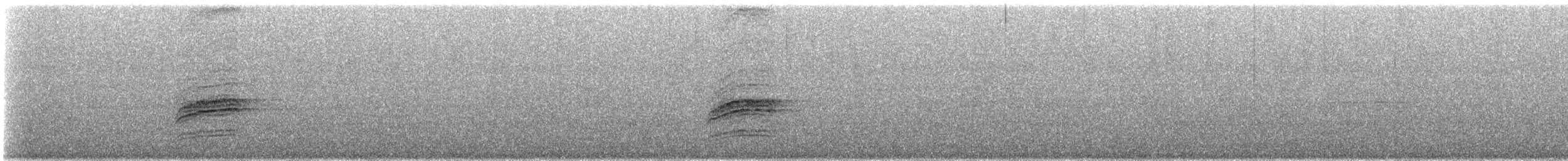 Дрізд-короткодзьоб плямистоволий - ML326276651