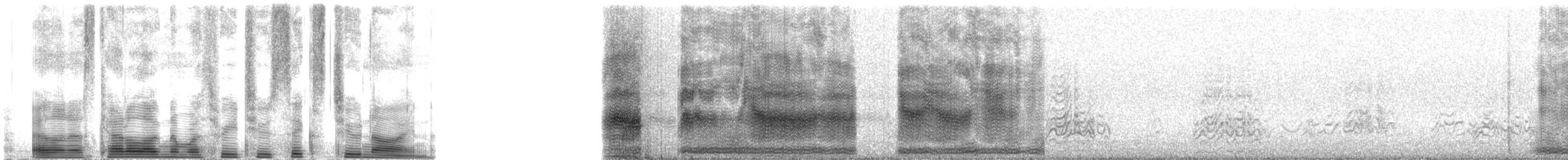 Bonin Petrel - ML32629