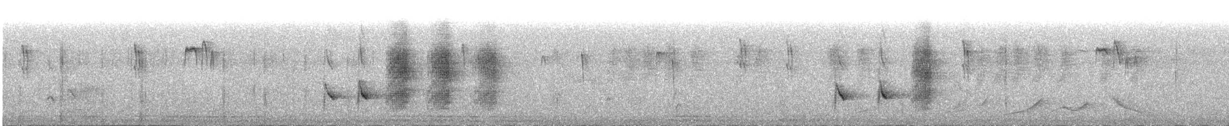 Allotrie siamoise (ripleyi) - ML326458691