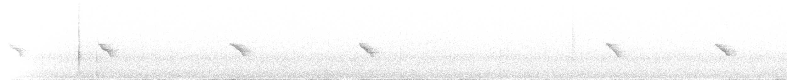 Iberian Chiffchaff - ML32646761