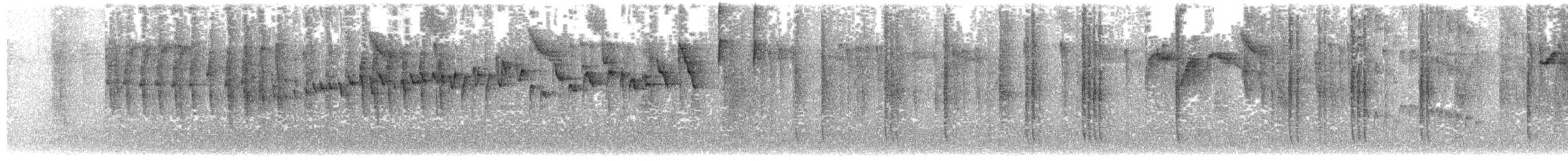 Paruline triligne (daedalus) - ML326473341