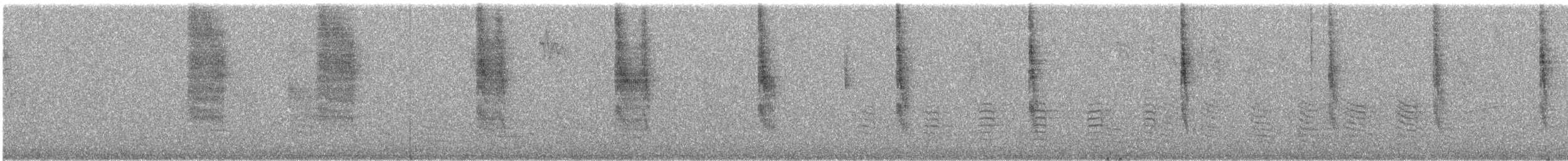 Troglodyte de Baird - ML32648161
