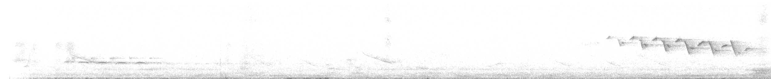 Yellow-throated Warbler - ML326483291